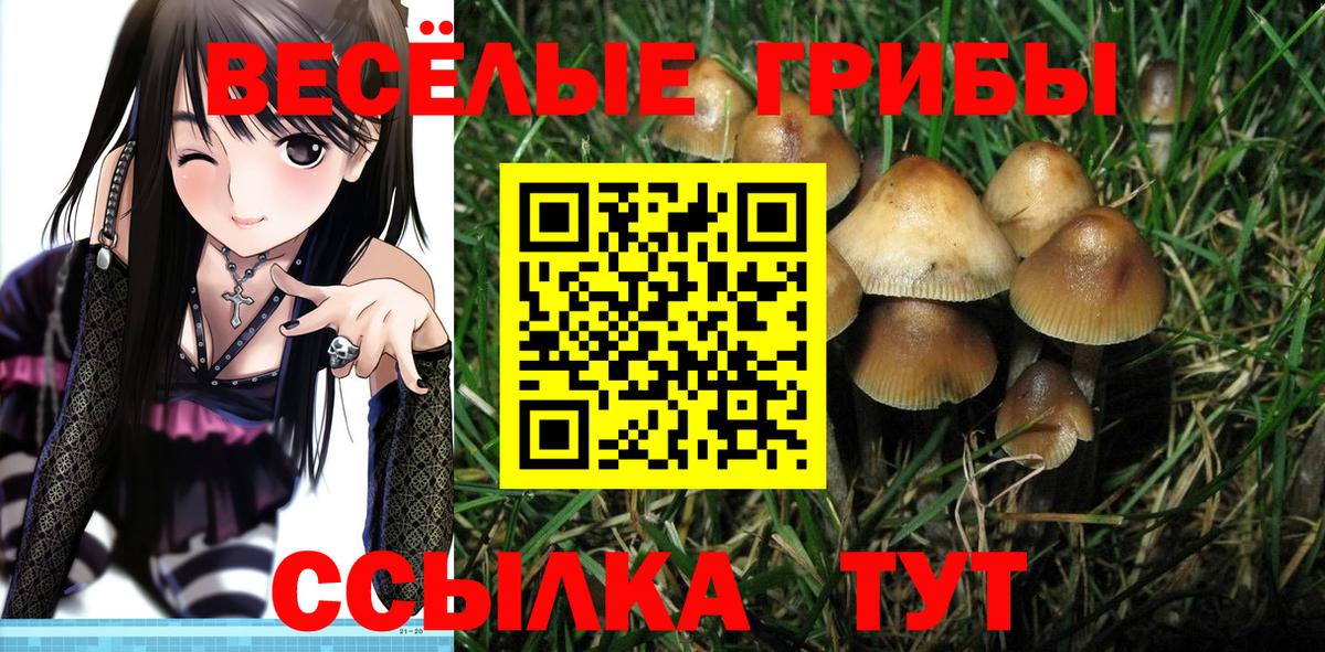 Янаул  Галлюциногенные грибы Psilocybine cubensis  магазин    Вход с VPN 