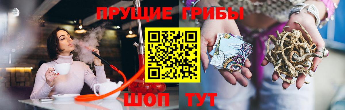 Псилоцибиновые грибы прущие грибы Янаул